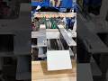 How Powder Stick Packs Go From Counted to Boxed | Automatic Feeding Counting Cartoning Machine