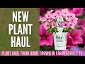 Plant Haul 2022 🌷🌷🌷 || Proven Winners 2022 || Plant Shop With Me || Home Grown Farmersville, TX