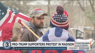Pro-Trump supporters protest in Madison