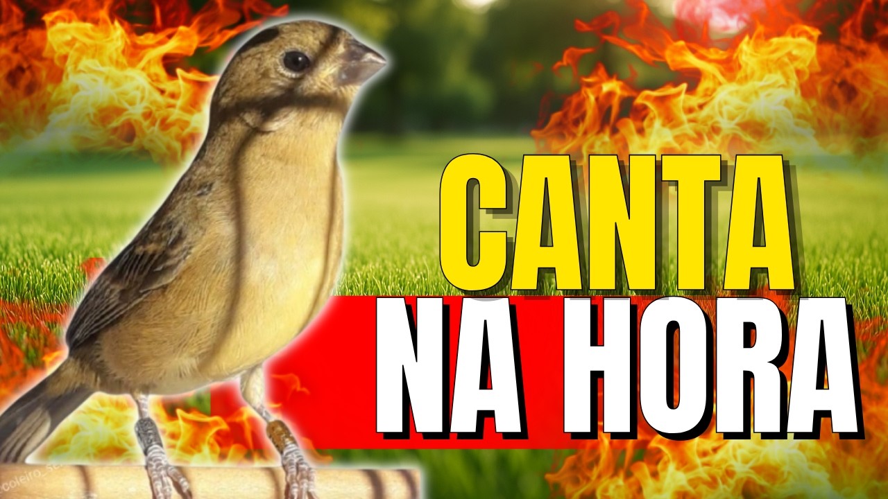 FÊMEA de BAIANO Chamando Muito FOGOSA levanta DEFUNTO!