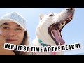 COME TO THE BEACH WITH ME! | Vlog