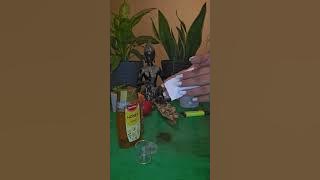 Congeleazăl sa fie doar cu tine whatApp 353857651379