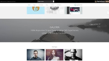 Galeria, Responsive Creative Drupal Theme