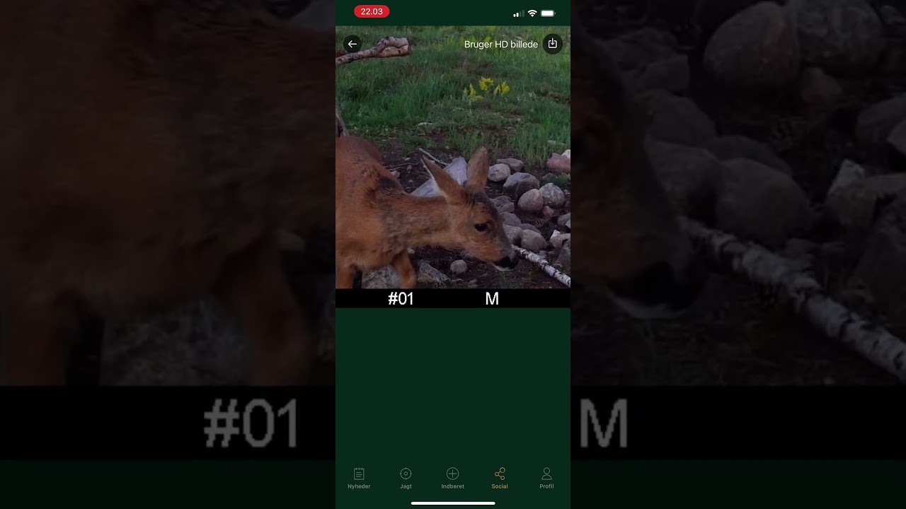 Billedflow for vildtkameraer