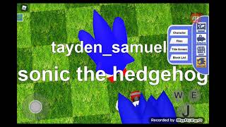 tayden Samuels play sonic pulse part 2 (Roblox)