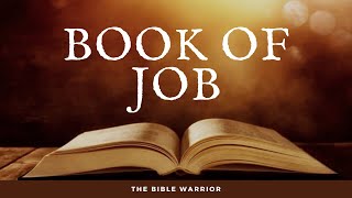 The Holy Bible - Book Of Job The Bible Warrior