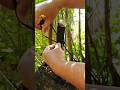 Survival Tips: Knife Seaweed Cords