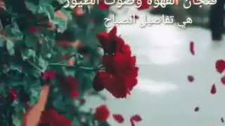 نسمات الصباح الباردة🌹