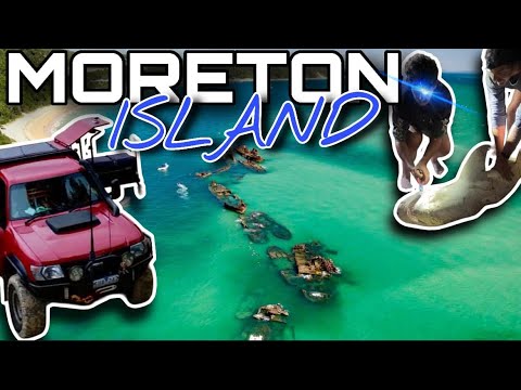 LIVING on a TROPICAL ISLAND || Moreton Island, better than FRASER island?!