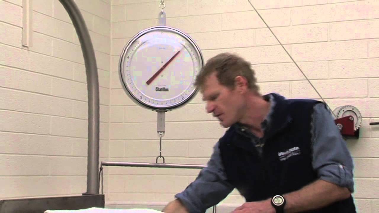 How Do You Measure Hydrostatic Weight?