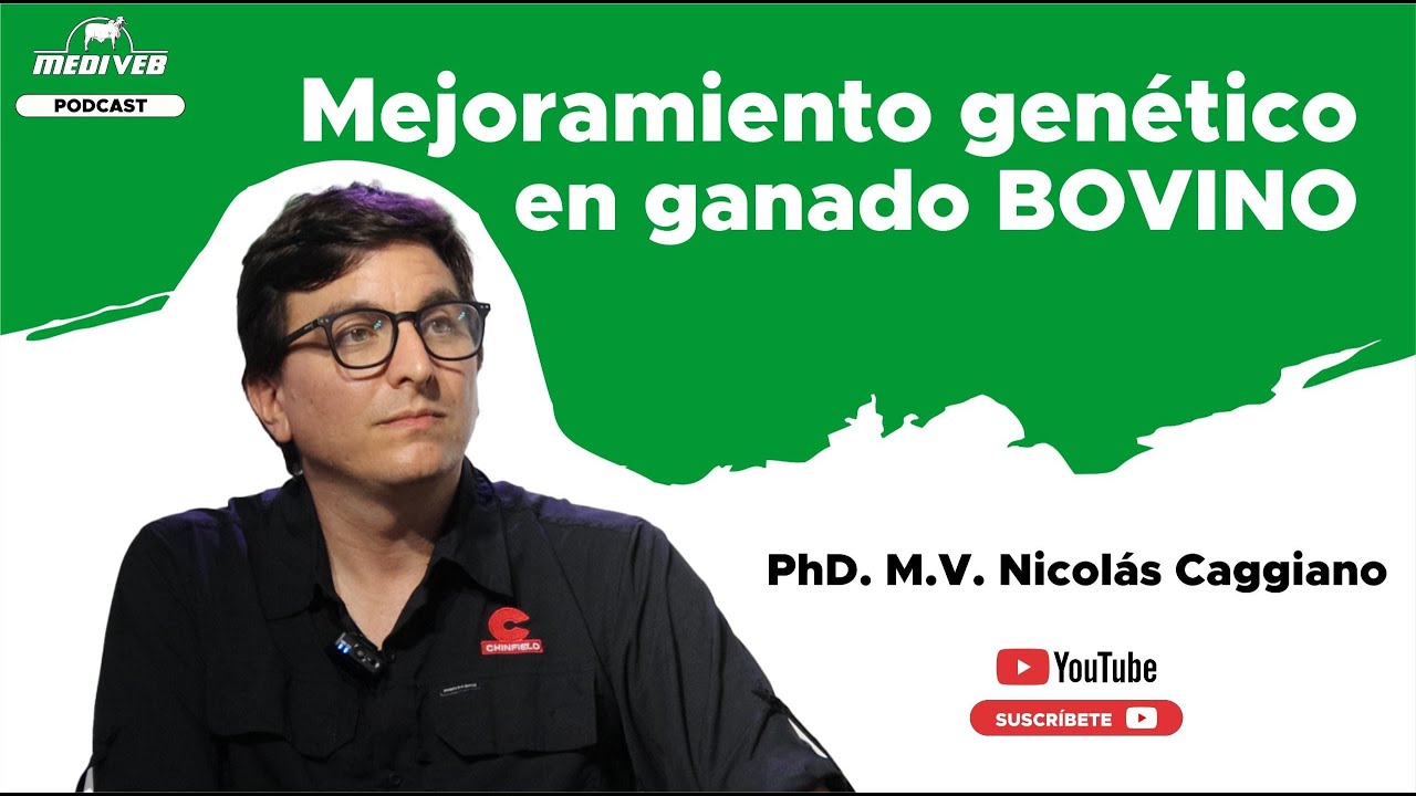 Mejoramiento genético en ganado bovino - Dr. PhD Nicolás Caggiano (Chinfield Argentina)
