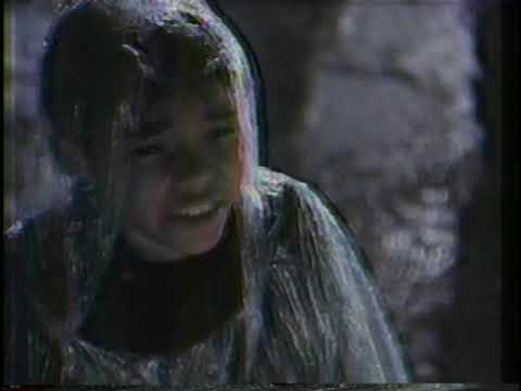    23 1996