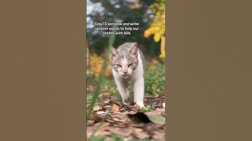 PStay 15 seconds and write random words to help our shelter with bills#help #foryoupage #donate #fyp
