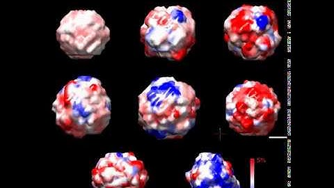 3D Reconstructions of Individual Nanoparticles