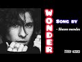 Wonder Shawn Mendes Surf Mesa Remix Audio mp3