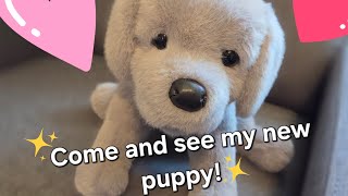 Douglas Argento Silver Lab review 🥰 #douglas #plushies #plushreview 