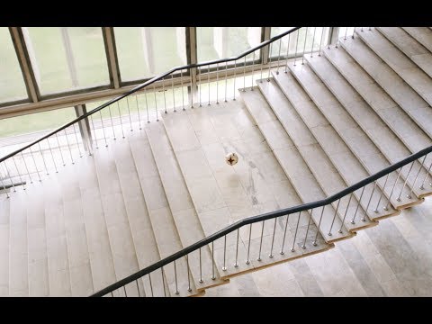 Специальный проект «Лето футбола. Спорт в музее»