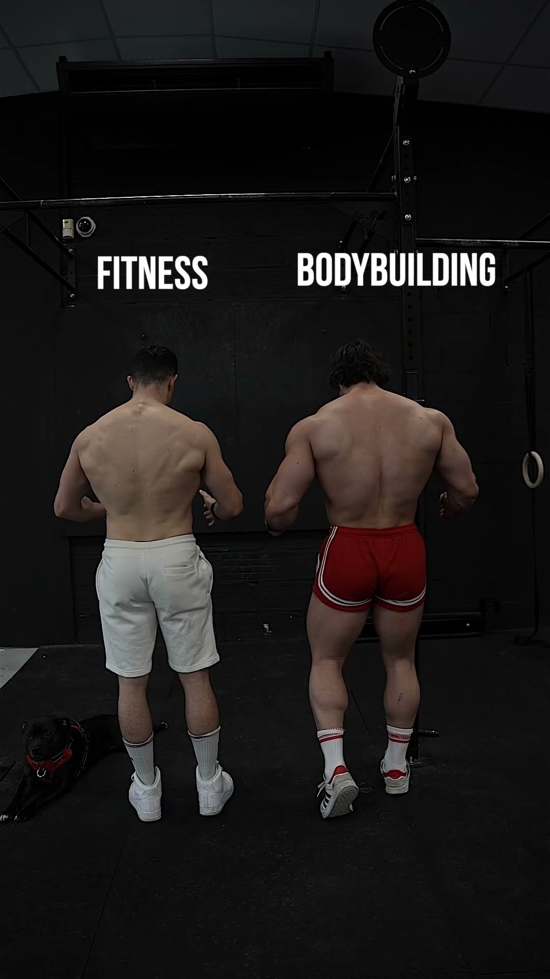 Fitness VS Bodybuilding ! ?