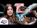 Hailee Steinfeld Plays Terrifying Game With A Tarantula 🕷️ | Capital