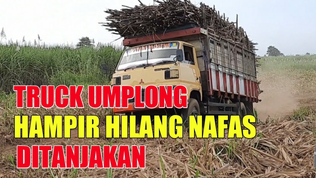 Skil Joki Truck Umplung  Goy4ng Disepanjang Lahan Tebu 