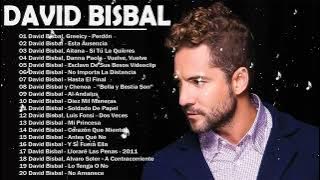 David Bisbal Latin Songs Playlist Full Album ~ Best Songs Collection Of All Time