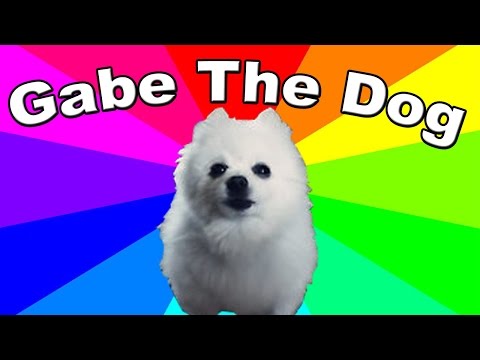 what-is-gabe-the-dog?-the-history-&-origin-of-bork-remixes-and-gabe-the-dog-memes