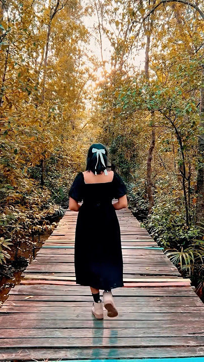 Indahnya Hutan Mangrove Pangkal Babu, Kuala Tungkal, Tanjung Jabung Barat, Provinsi Jambi.