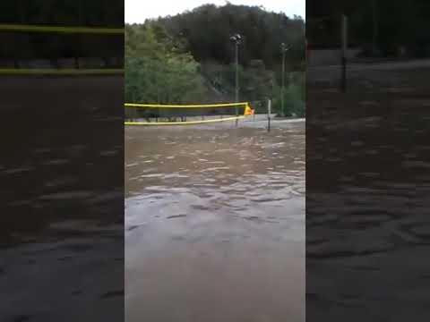 LIGURIA: disastrosa alluvione in provincia di SAVONA