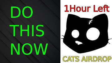 CAT Airdrop Listing Do this Now (CAT Airdrop Withdrawal Listing Price Connect Wallet)