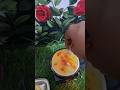 miniature Anda😋😋 Tara mini food 🔥#viral #shorts #trending #minicooking