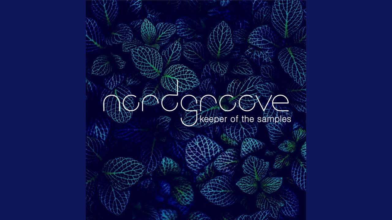 Bird Flying in the Storm