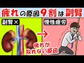 朝からしんどい疲れが取れない原因は副腎が9割!寝ても眠いやる気が出ない無気力な人は見て【改善|疲労|コルチゾール|ストレス】