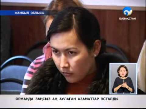 Буратино порно