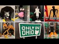 All lego only in ohio creatures  creepy meme world