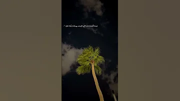 عيب لما تكون إنسان ناضج واعي ولسه مصدق انه بكره أحلى 