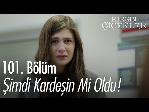 Şimdi Kardeşin Mi Oldu Kırgın Çiçekler 101 Bölüm