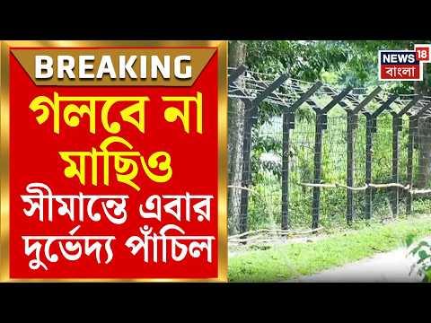 Bengal Border News | মাছি গলারও জো নেই, Murshidabad সীমান্তে যুদ্ধকালীন তৎপরতায় সুরক্ষার বজ্রআঁটুনি