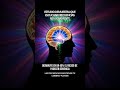 "Todo en el universo es energía y vibración; vibra a la frecuencia de tus deseos y lo atraerás"