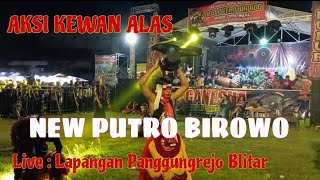 Aksi Kewan Alas_New Putro Birowo Live lapangan Panggungrejo Blitar