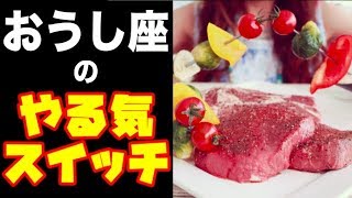 占いで検証！牡牛座（おうし座）の人の”やる気スイッチ”の押し方！