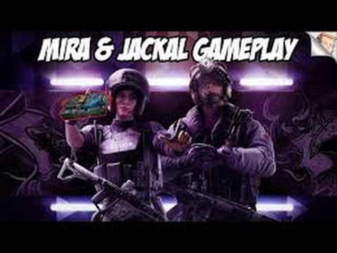 Jackal rainbow