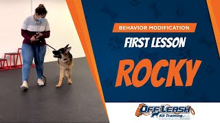 Off Leash K9 Training Behavior Modification First Lesson