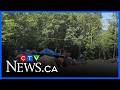 Frustration over criminal activity at Squamish encampment