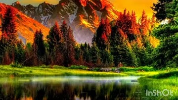صوت غاية في الهدوء والروعة بصوت القارئ محمد الخريف من سورة الأعراف