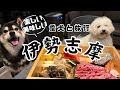 ドッグラン付きプライベートヴィラで柴犬との一泊２日の旅