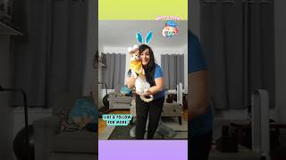 #Easter pictures since it's after midnight & busy day tomorrow, so posting now. Happy Easter 🐰🐣🥕🥚😻