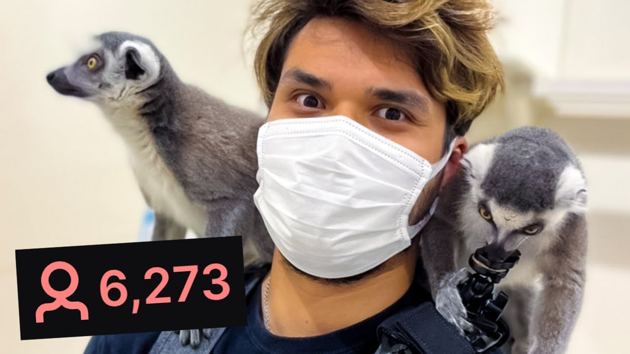 I Took 6,000 People on a Weird Day Trip to Japan
