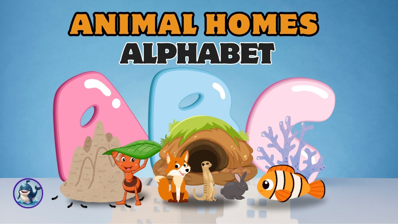 動物ホームのなぞ Alphabet of Animal Homes | Learn alphabet for kids - YouTube