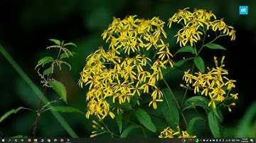 How to check WiFi network security type on Windows 10