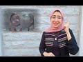 اغنية صوره منك بلغة الإشارة مع داليا مصطفى اغنية صوره منك بلغة الإشارة مع داليا مصطفى